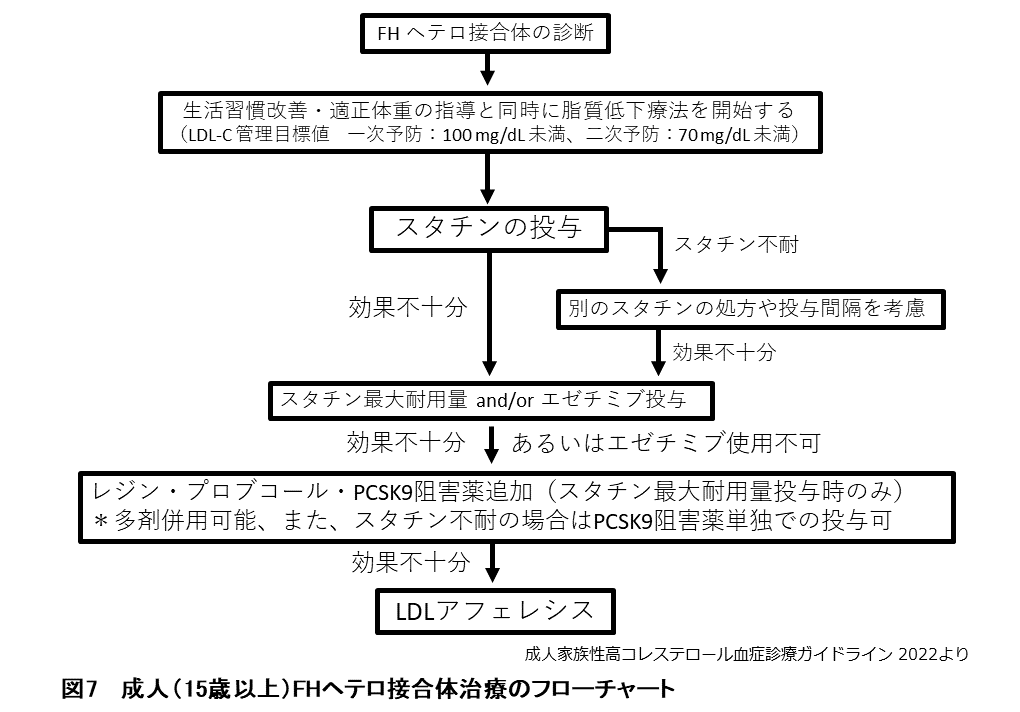 ホモ接合型とヘテロ接合型の家族性高コレステロール血症